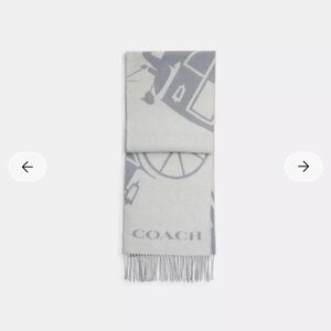 new Horse And Carriage Cashmere Muffler scarf gray